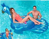 涪陵水上浮具